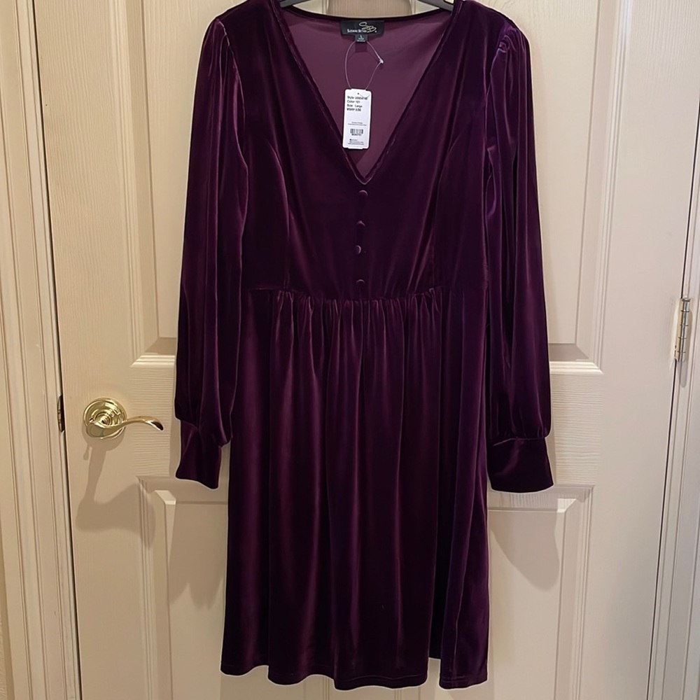 Purple Velvet Dress BNWT sL by Suzanne Betro